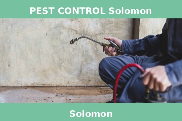 PEST CONTROL Solomon